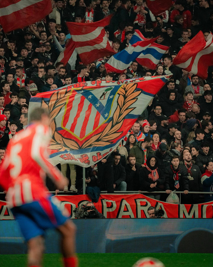 并借助本次 并借助本次